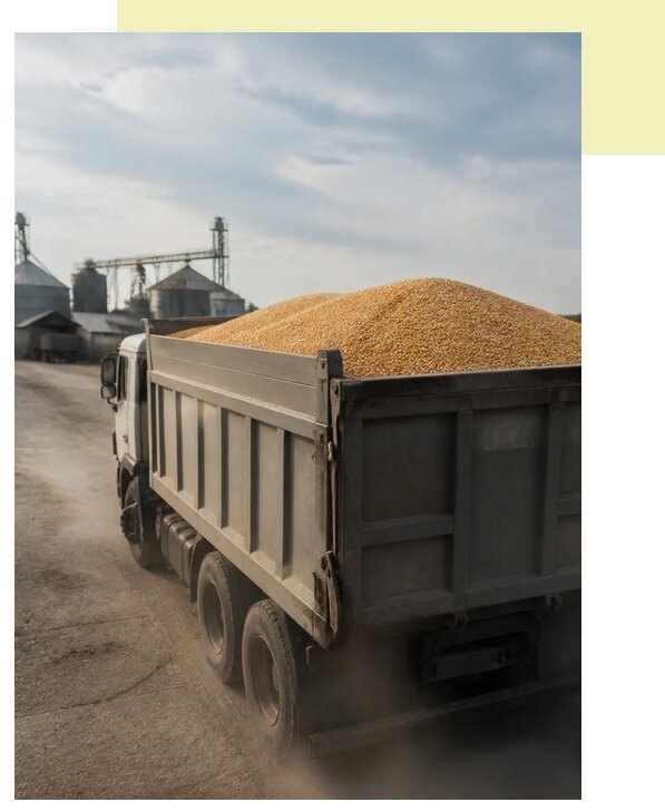 Перевозка сельхозпродукции навалом в Сегежу по цене от 3122 р. | Агросервис-Сгж