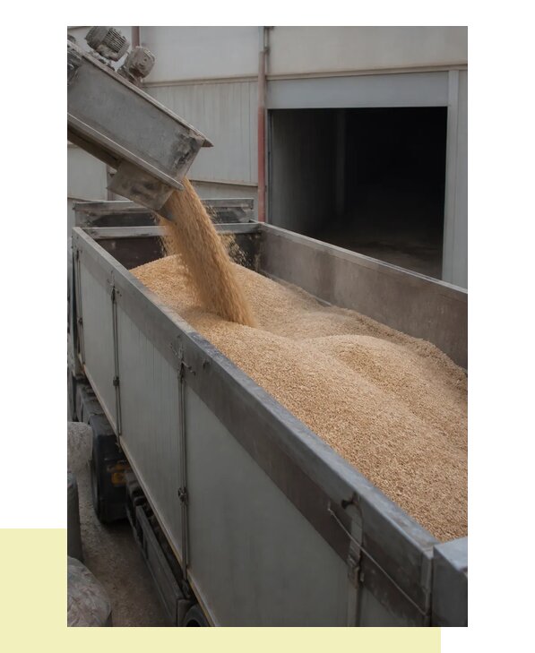 Перевозка отрубей в Сегежу с гарантией сохранности груза