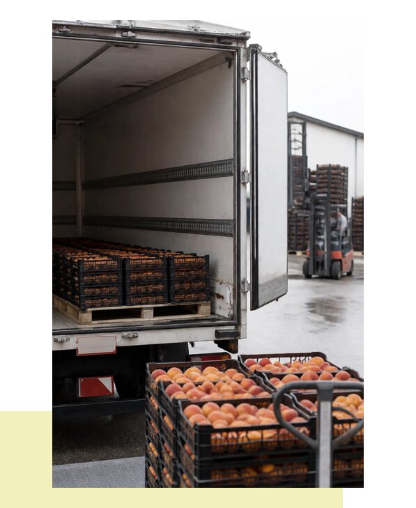Перевозка персиков в Сегежу с гарантией сохранности груза